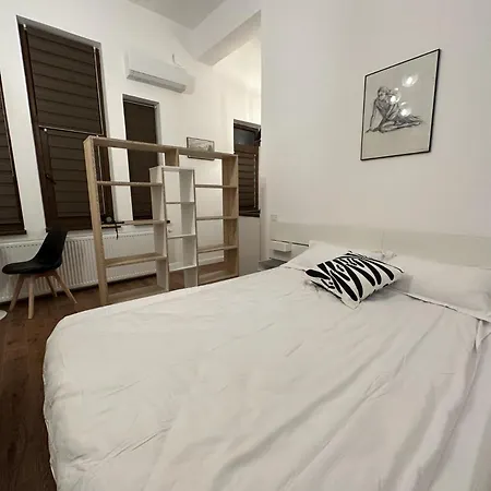 Cismigiu Apartments-2