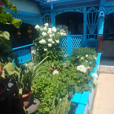 Casa de vacanta ,,Puiu&Nelly,,-3