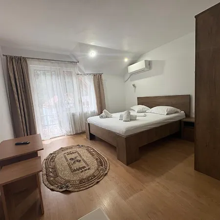 Casa Visescu-2