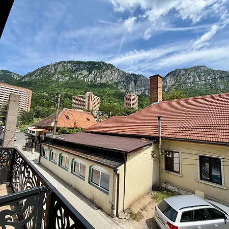 Casa Golopența-2