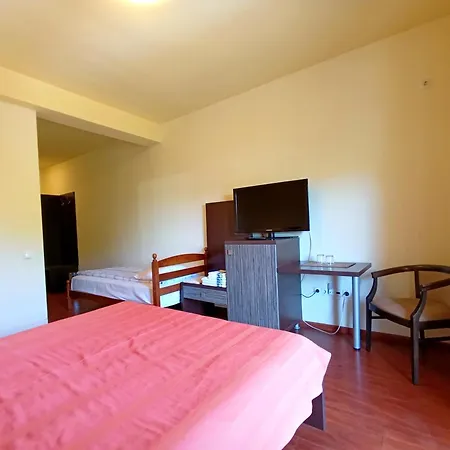 Pensiunea Ruxandra-3