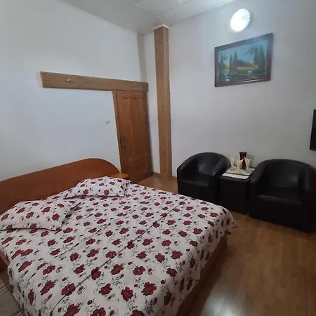 Pensiunea Sura-3