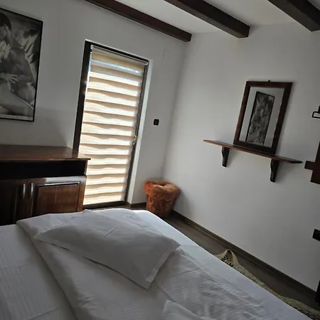 Casa de vacanta Ioana-3