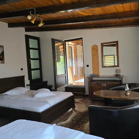Casa de vacanta Ioana-2