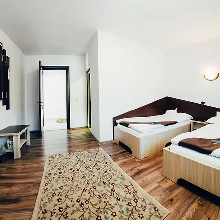 Casa Bradul Voronet-3