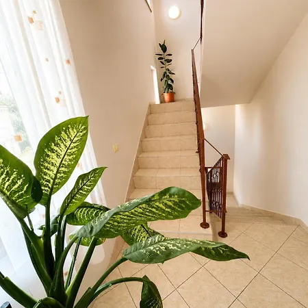 Vila Corina-2