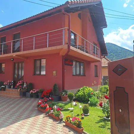 Vila Georgeta-2