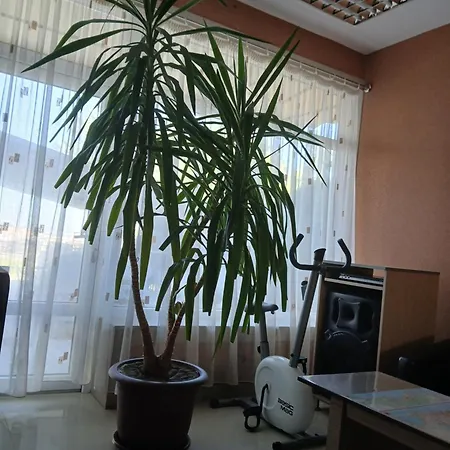 Casa Daniel Borbel-3