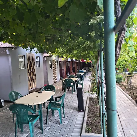 Casa Mihai-2