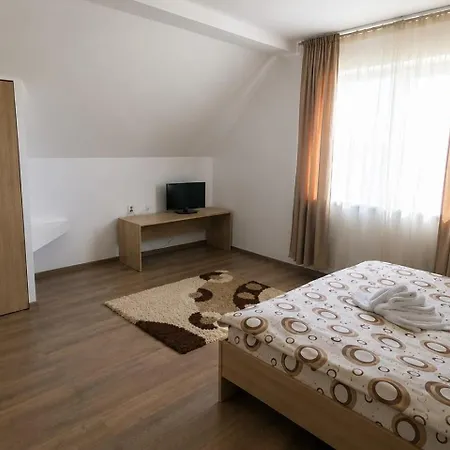 Pensiunea Dimitrie-3