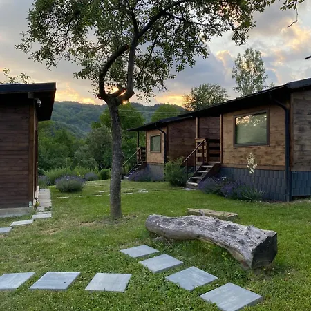 Bungalouri Olanesti-2