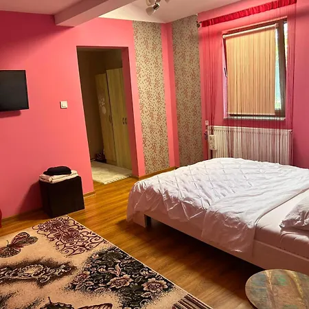 Colț de rai - camera de inchiriat-3