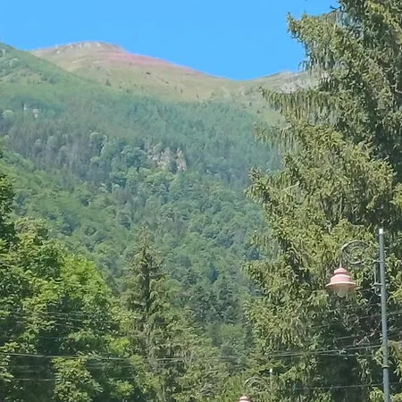 Apartamente Private Near The Castle-3
