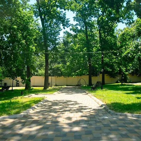 Curtea Domneasca-3
