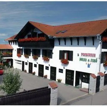 Pensiunea Doina&Jenő-3