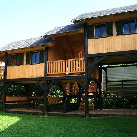 Pensiunea Casa Elvira-3