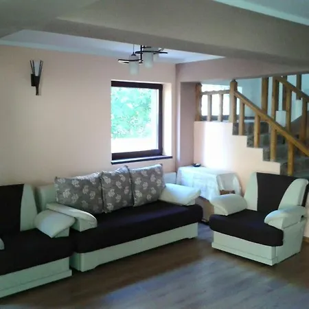 Casa Montana Busteni-3