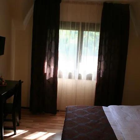 Pensiunea Cristian Covasna-3