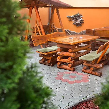 Pension Belascu-3