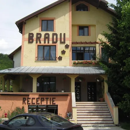 Pensiunea BRADU-2