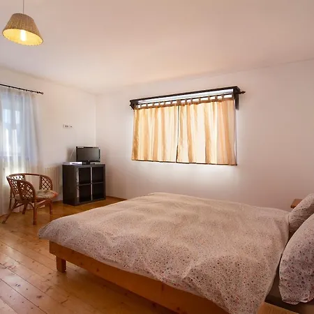 Casa Georgescu-2