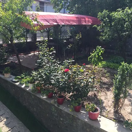 Casa La Musteata-3