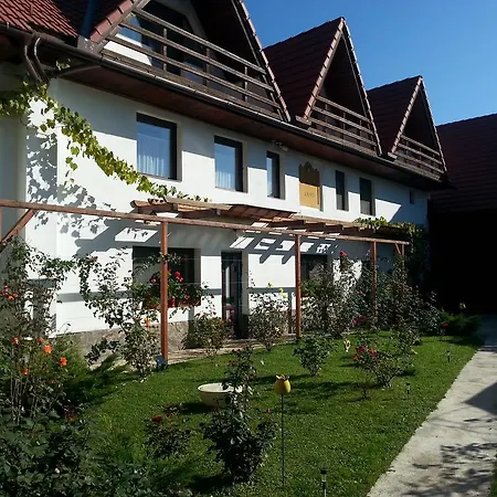 Casa Gross-3