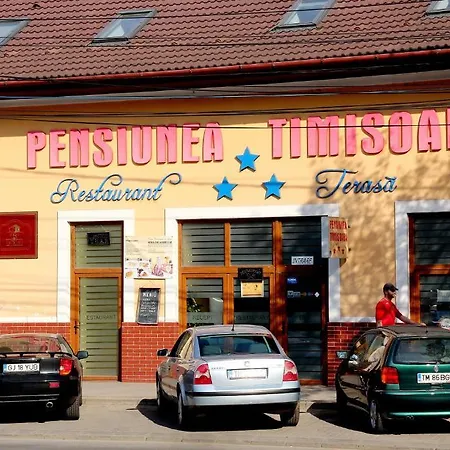 Pensiunea Timisoara-2