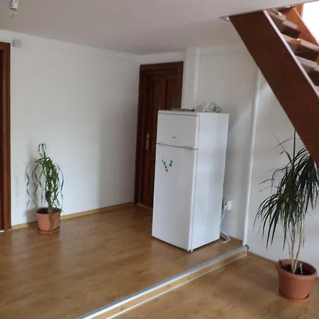 Camere De Inchiriat " Spicului"-3