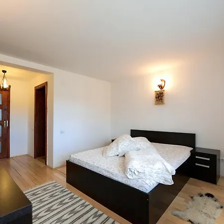 Pensiunea Arina-3