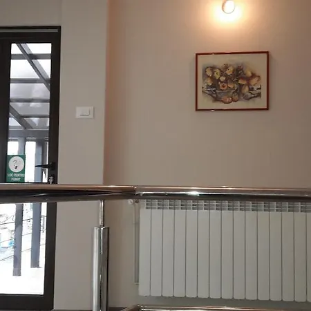 Casa Cojocaru- camere de închiriat în scop turistic-2