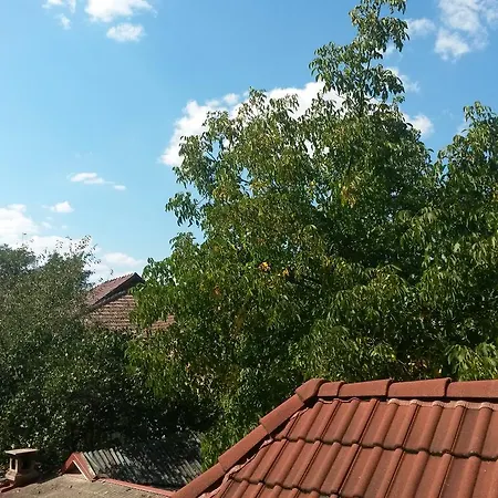 Pensiunea Lőrincz *** Panzió-3