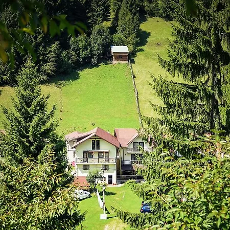 Pensiunea Puiu-2