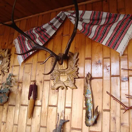 Pensiunea Casa Rodica-3