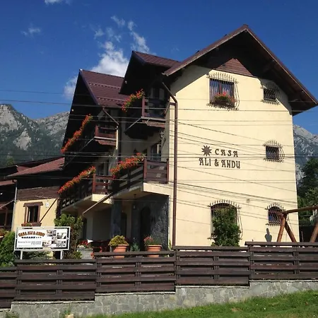 Pension Casa Ali & Andu-3