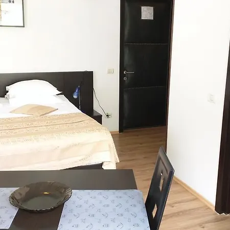 Hotel Silvia Apart Sinaia-3