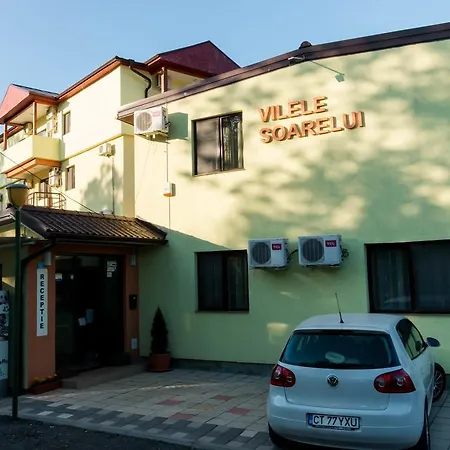 Vilele Soarelui-2