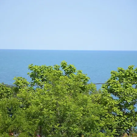 Razvan Holiday-3