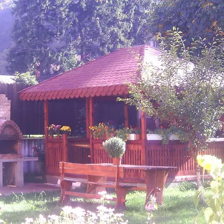 Vila Foisor-3