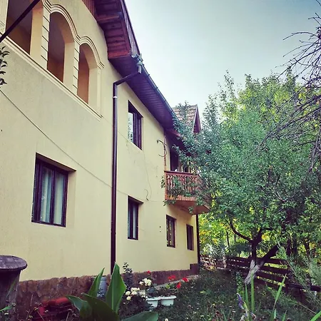 Pensiunea La Muncel-3