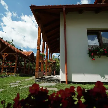 Casa Bunicii-2