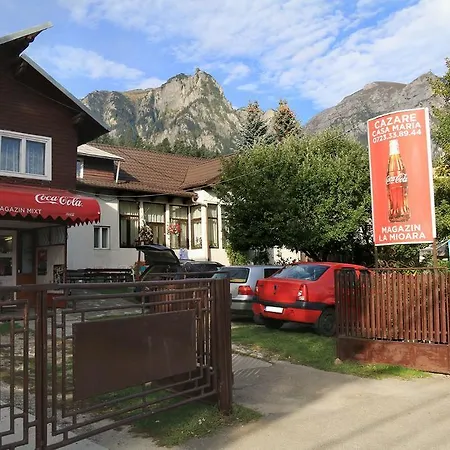 Casa Maria Busteni - Poiana Tapului-2