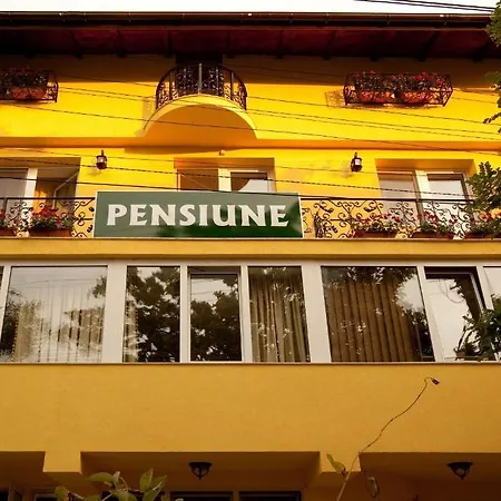 Pension Dinu Residence-3