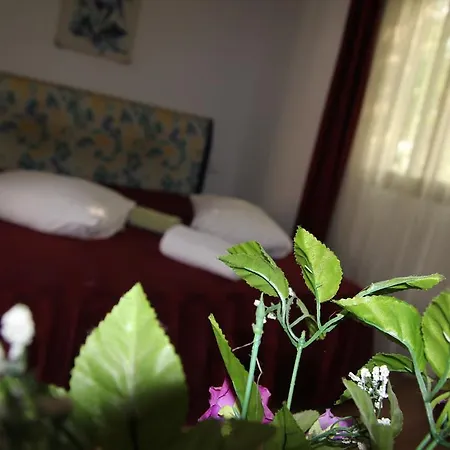 Hotel Doi Taurasi-3
