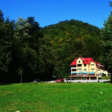 Pensiunea Magura-3