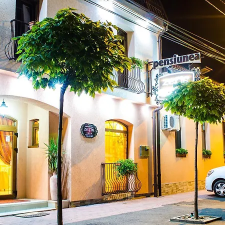 Hotel-Pensiunea Zefir-2