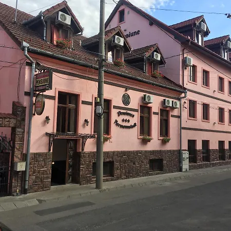 Pensiunea Hermannstadt-2