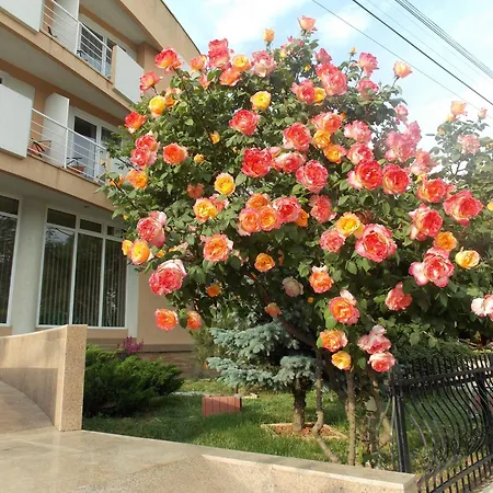 Hotel Holiday-3