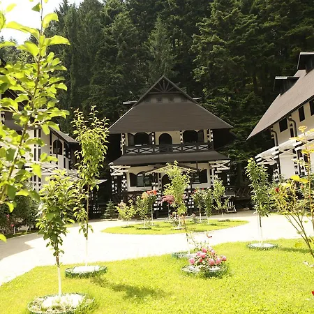 Complex Lions Bucovina-2