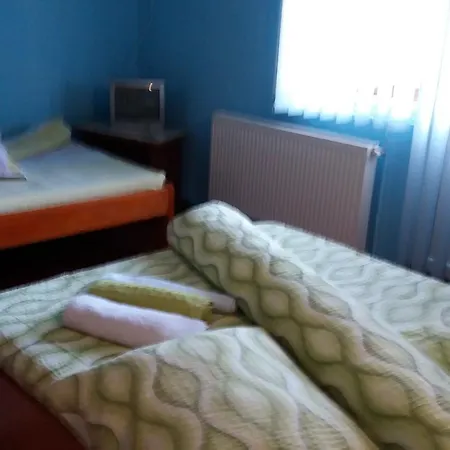 Casa Andreea-Maria-2